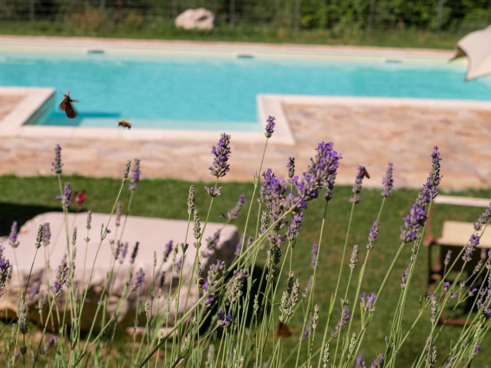 Lacelletta Country House Urbino Luaran gambar